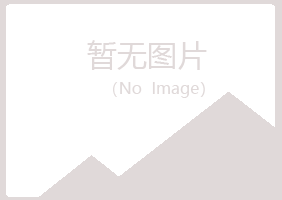 宜州女孩邮政有限公司